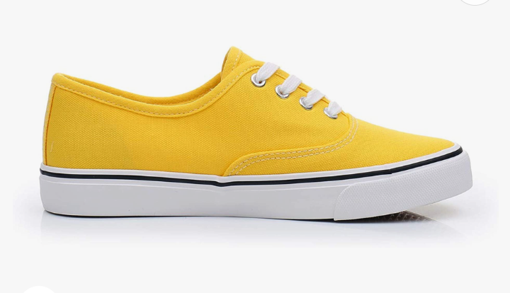 Low canvas sneaker